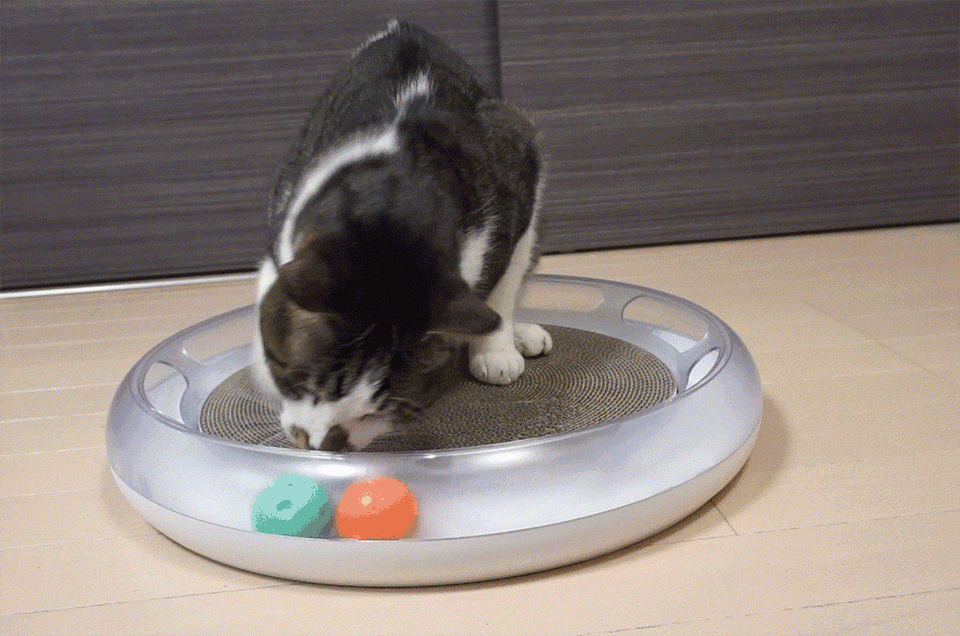 20180514-catscratcher05