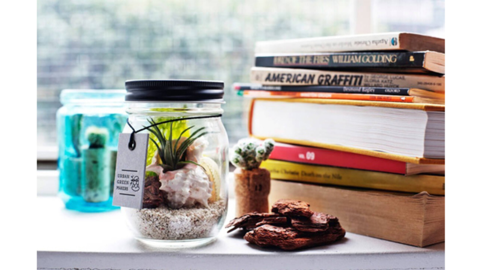 都会暮らしにグリーンを。自分だけの世界をDIYできる「テラリウムキット」でね