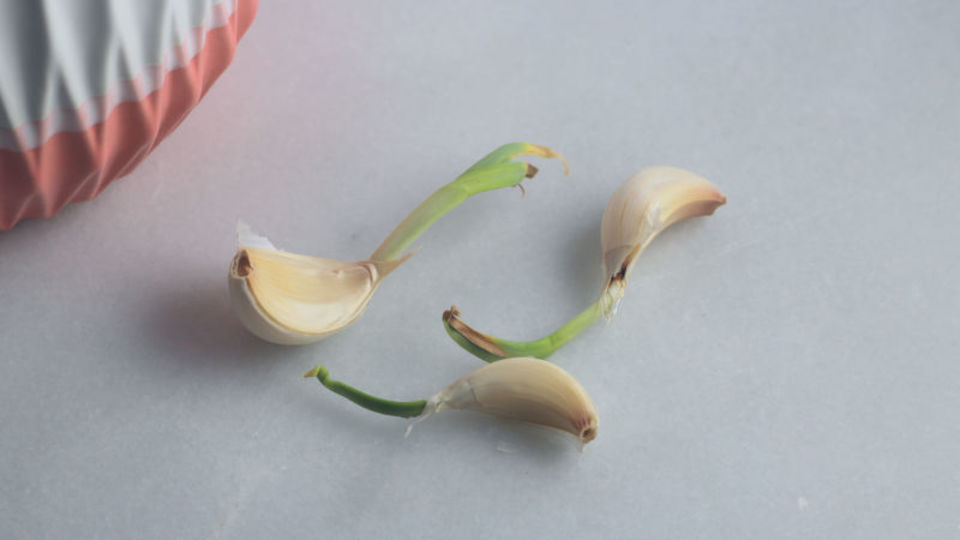 180604_Garlic_02