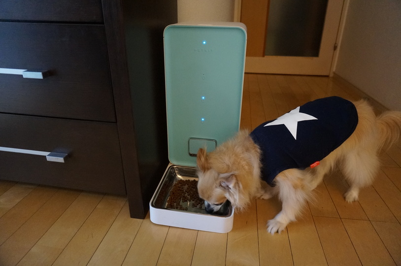 スマホ管理できるスマート給餌器「FRESH ELEMENT」は飼い主の自由度を上げてくれる