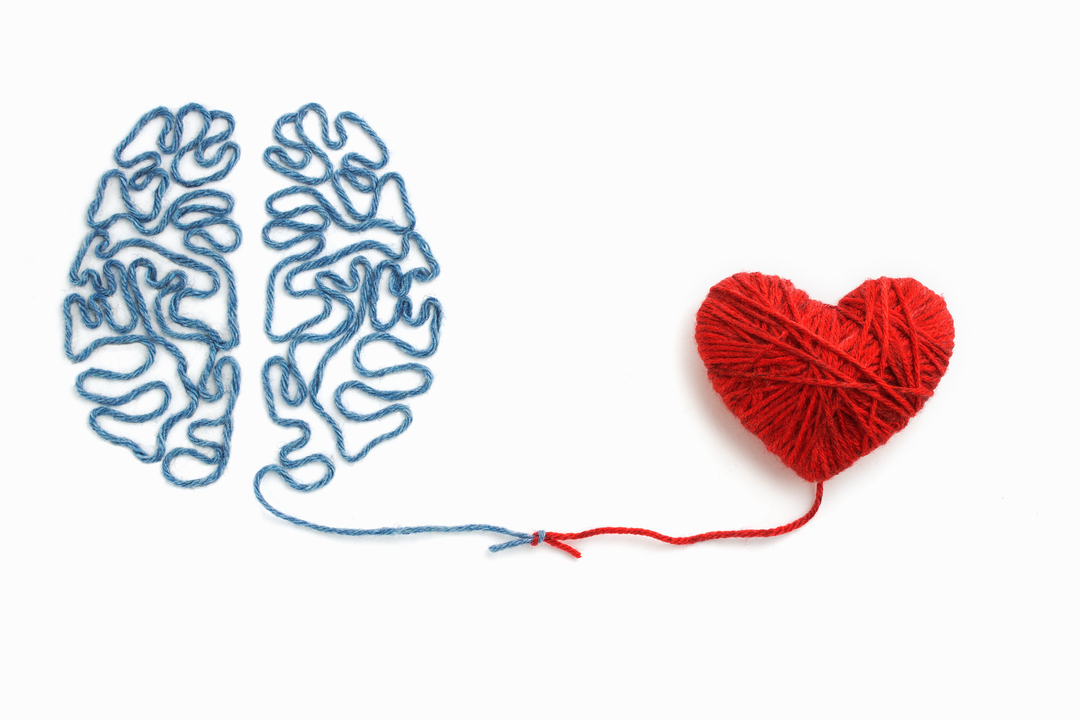 Image:shutterstock