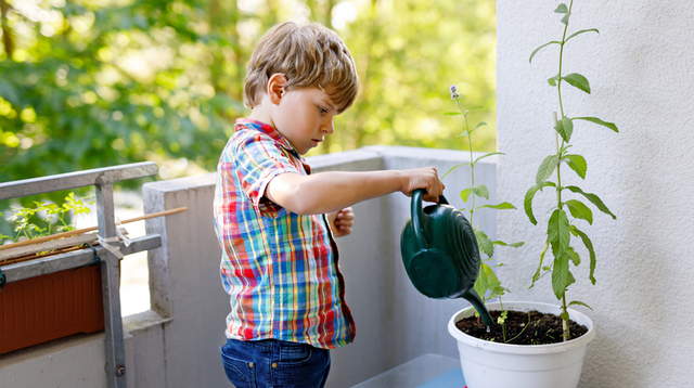 もう、枯らさない。植物への水やり管理はアプリに任せてみない?