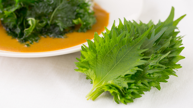 気分も爽やかに、大葉がたっぷり食べられるカレーのレシピと大葉の活用術