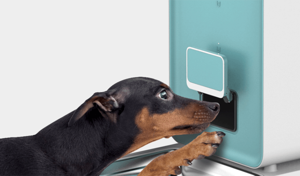 あと3日でキャンペーン終了！外出先でペットに給餌できる｢FRESH ELEMENT｣が終了間近