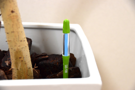 もう水やりを忘れて、植物を枯らさない。土が乾いたときが一目でわかるチェッカー【今日のライフハックツール】