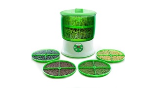 もやしを育てて、食べる。3日に1回新鮮なもやしを収穫できる｢もやし栽培マシン｣