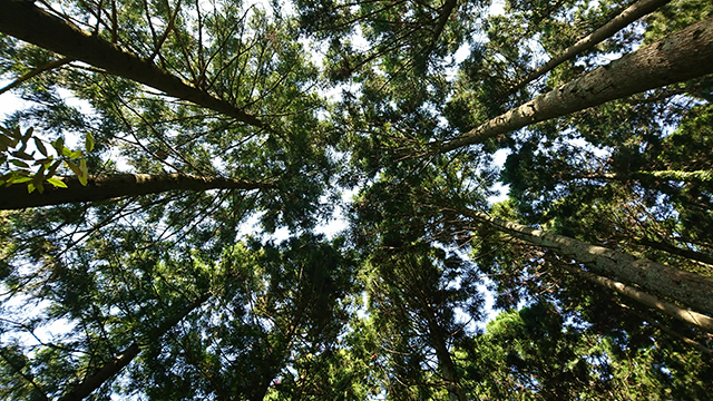 20180623_geographica_00