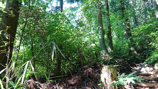 スマホを登山用GPSにできる『ジオグラフィカ』は、イザという時のために持っておくべきアプリ【今日のライフハックツール】