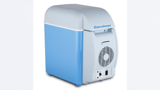 アウトドアのお供に｢ポータブル冷温庫｣はいかが？ お弁当も傷まないから梅雨時も夏も使える