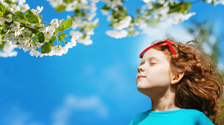 Googleに新機能が登場。「深呼吸」と検索するだけで使えるよ