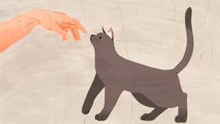 3人の専門家に聞いた、本当に猫に好かれる方法