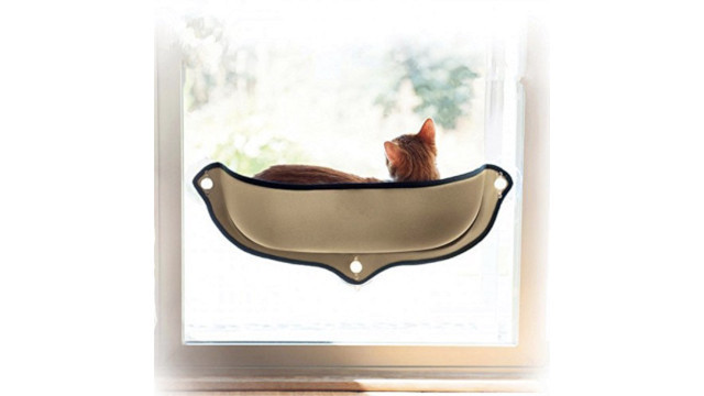 アウトドアでも家でも、手軽にネコの特等席が。もう離れられニャい