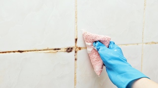 もうジメジメには悩まない！ 家のカビ問題を解決する3つの対策