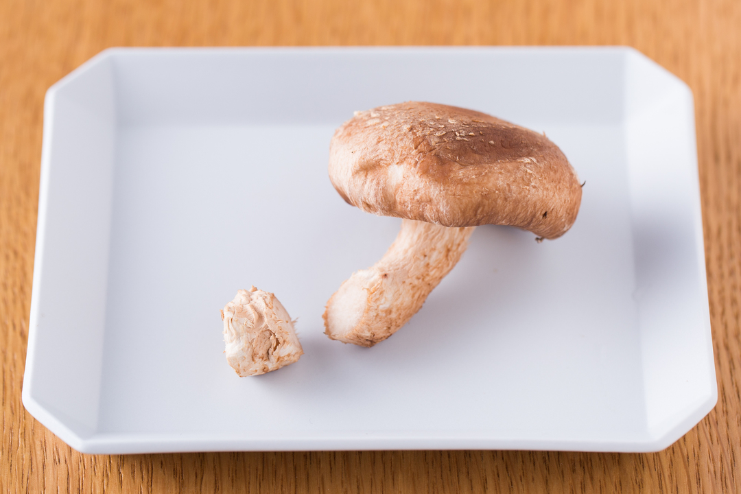 shiitake-001