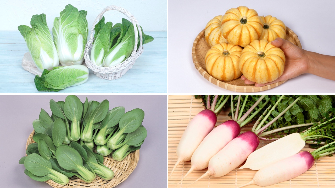 vegetable_future_02.2