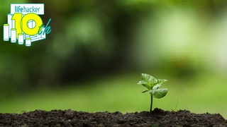 温暖化や人手不足で野菜の未来はどうなるのか？ 専門家に聞いてみた