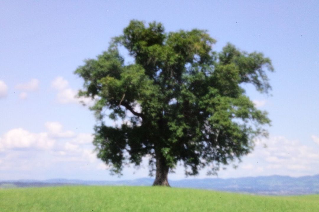 20190913-pinhole11