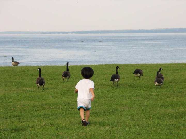 20代のうちから考え始めるべき、人生について11の質問
