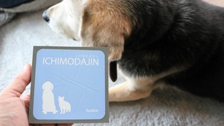 繰り返し使えて経済的。ソファなど軽くこすって絡みつくペットの抜け毛をまとめてポイ【今日のライフハックツール】