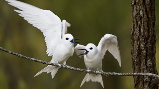 パートナーと喧嘩が絶えないなら。あえてケンカをする時間を設けよう