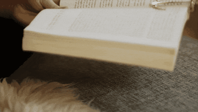 Indiecoffeegif