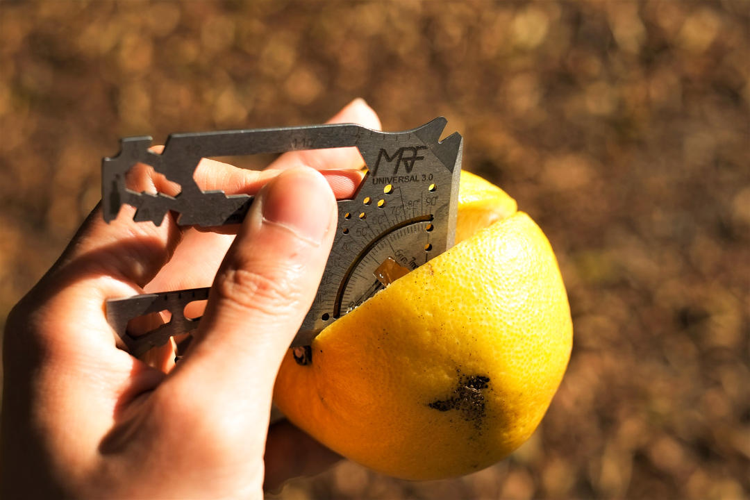 cuttinggrapefruit-2