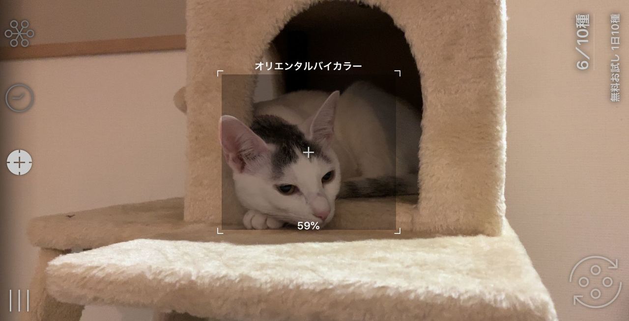 b(1)