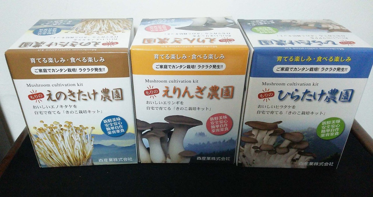キノコ栽培キット5種を比べてみた