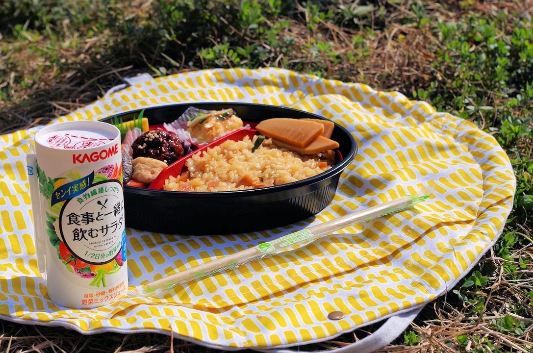 190312_lunchbag_outdoorlunch