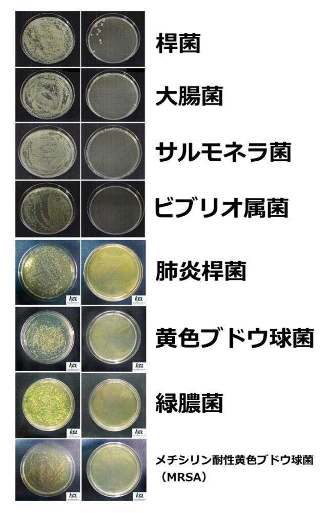 菌image