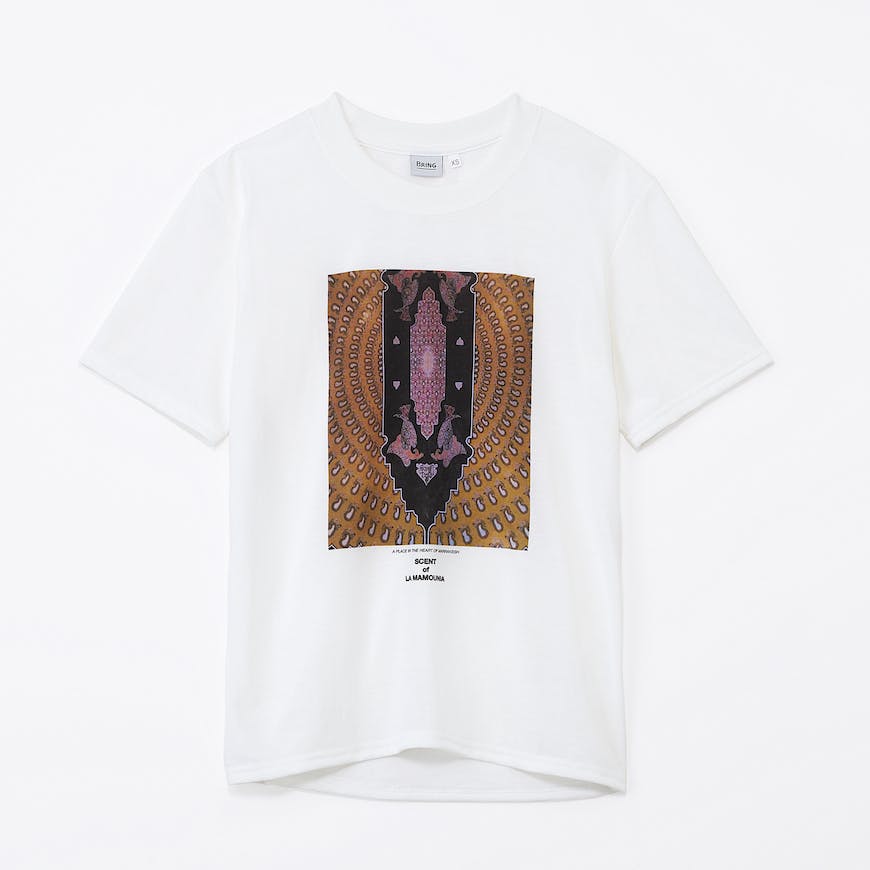 w14