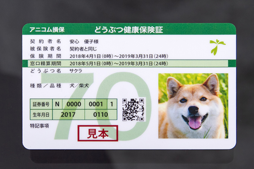 今や子どもより多い時代。「ペット保険」が生まれた裏にあった、熱い思いとは