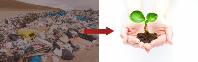 sealpod_content_eco