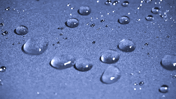 20190523-Aquanautia04