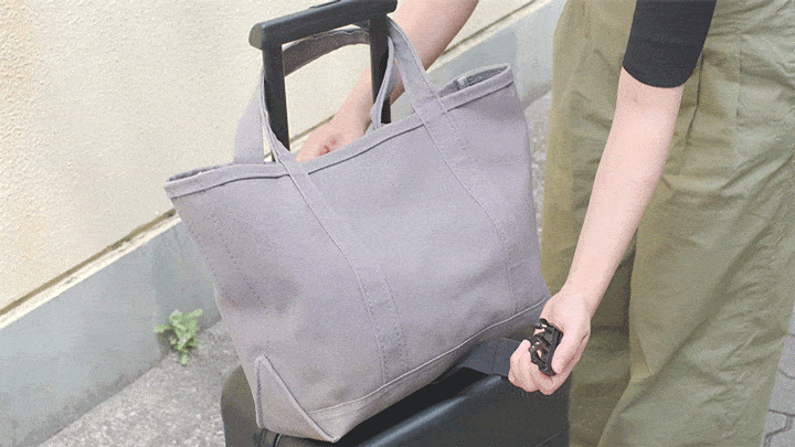 attachoncarrycase2-min-2