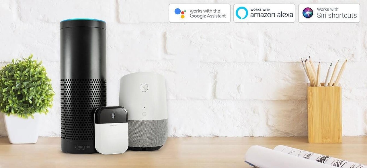amazon_echo_and_google_home_with_google_amazon_apple_white-1