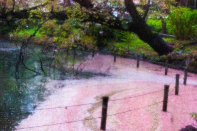 いつもの写真を水彩画に変えるレンズ「Pinhole Pro X」を使ってみた