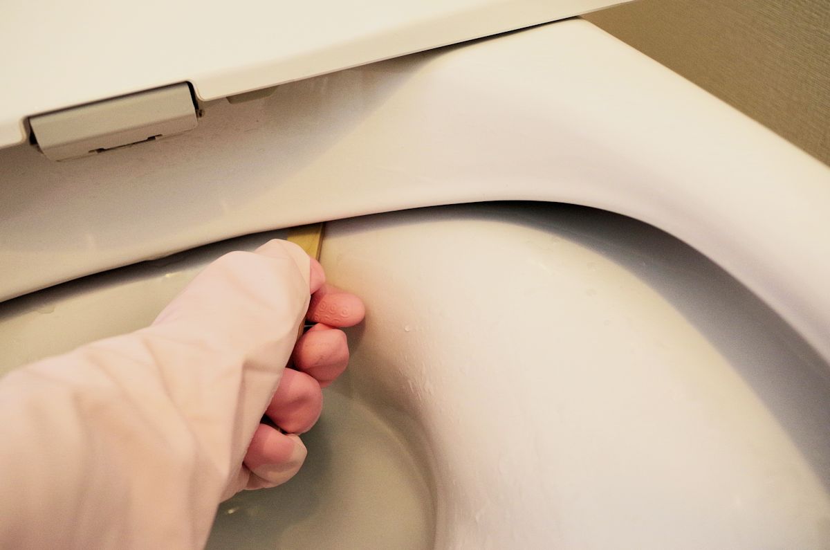 cecile_toiletcleaner_rimdeeper