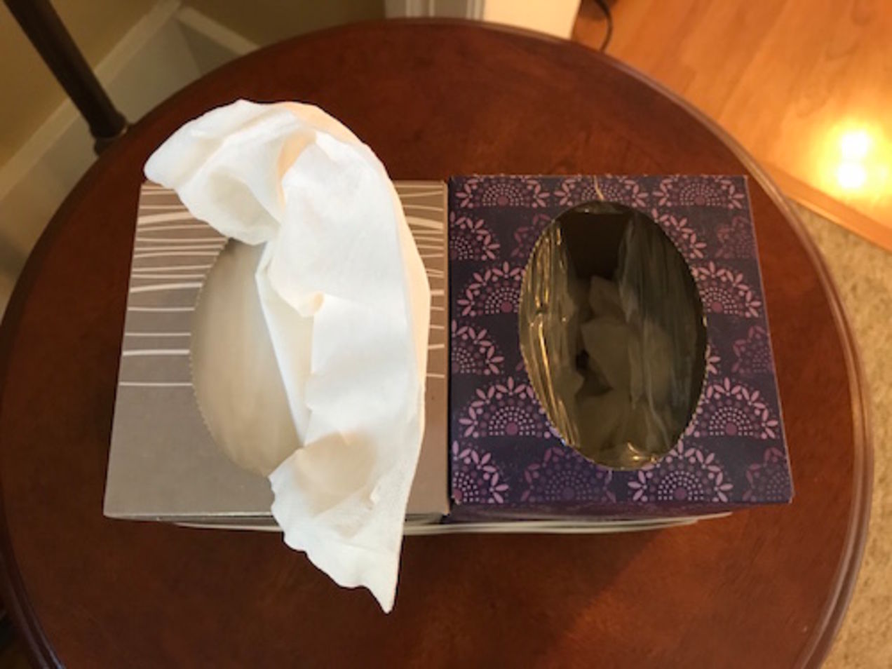 tissue4