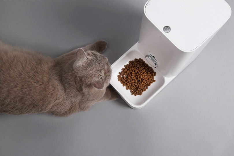 かわいいペットに外出中でも食事を! 遠隔操作も可能な「FRESH ELEMENT ミニ」が登場