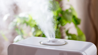 超音波式加湿器は雑菌が繁殖しやすい。加湿器のタイプ別お手入れ方法