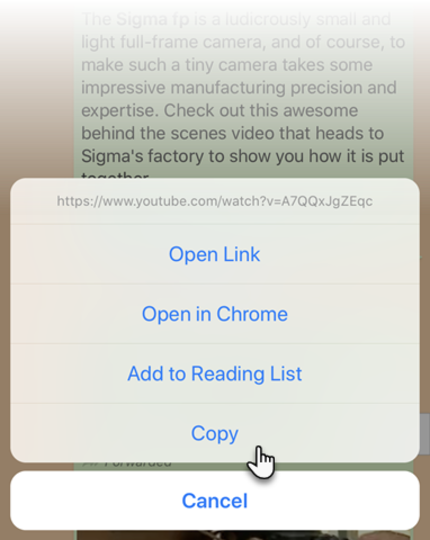 iPhone-Copy-and-Paste-URL-Links