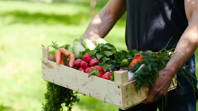 ベジタリアンの食生活は運動パフォーマンスに影響するのか
