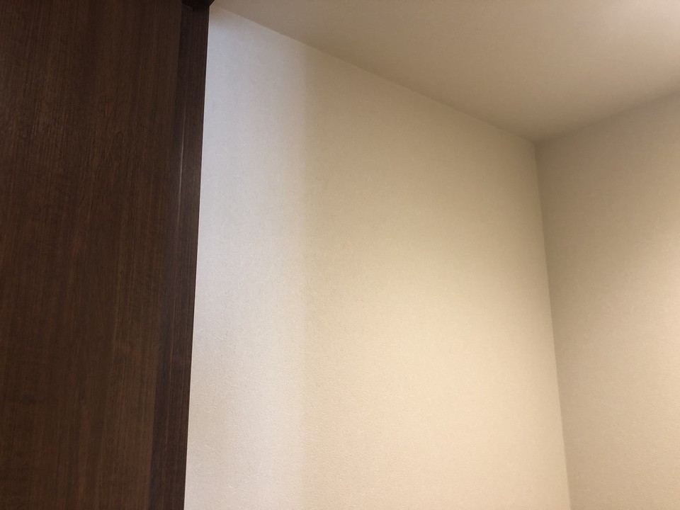 cloth