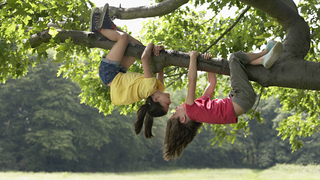 「頭を下にした状態」が体や脳に与える悪影響