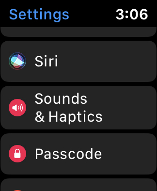 AppleWatchSoundsAndHapticsSettings