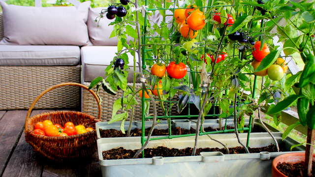 ベランダ改革のためのマストアイテム17選 狭くても快適 おしゃれ空間に ライフハッカー 日本版