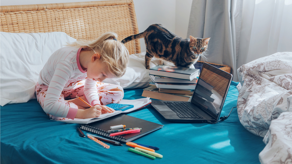 自宅学習に役立つ!子どもの学びの基礎になる6つの「C」とは