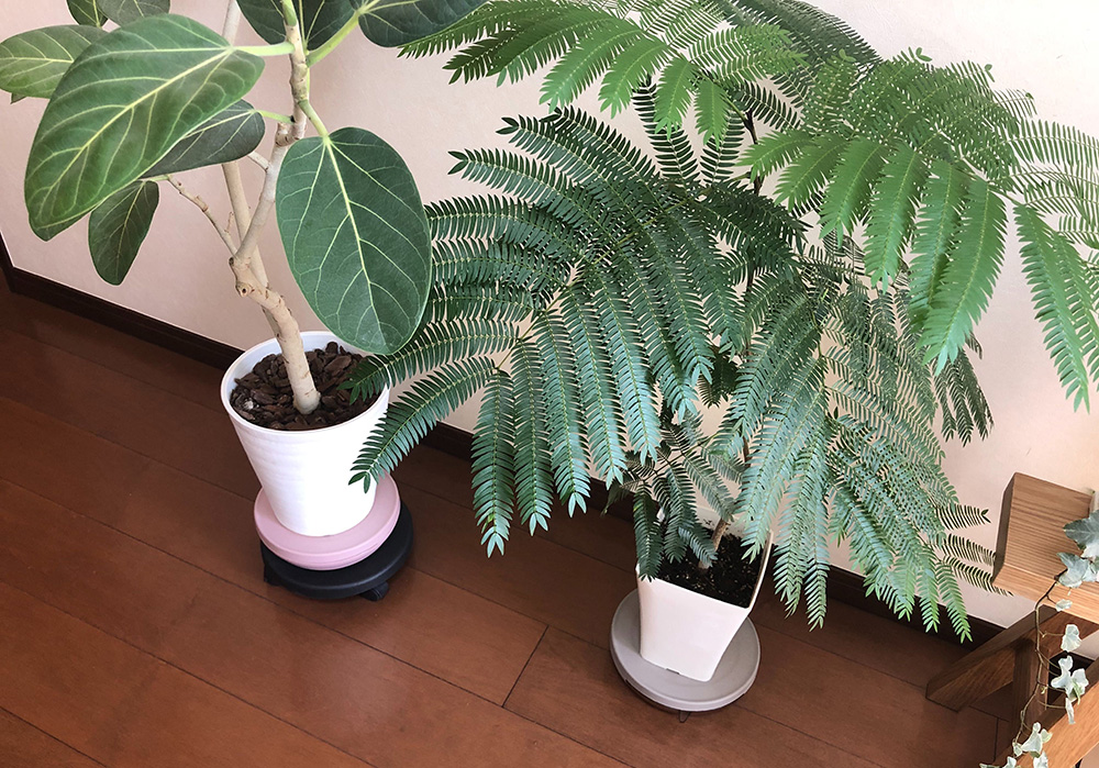 pot keeper