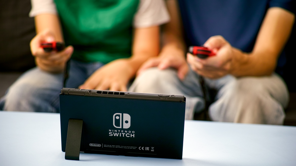 スイッチをやる兄弟
